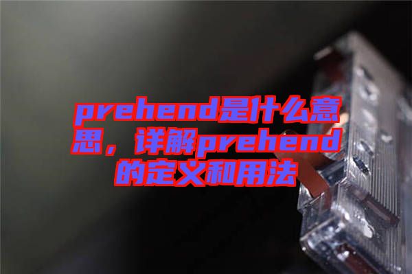 prehend是什么意思，詳解prehend的定義和用法