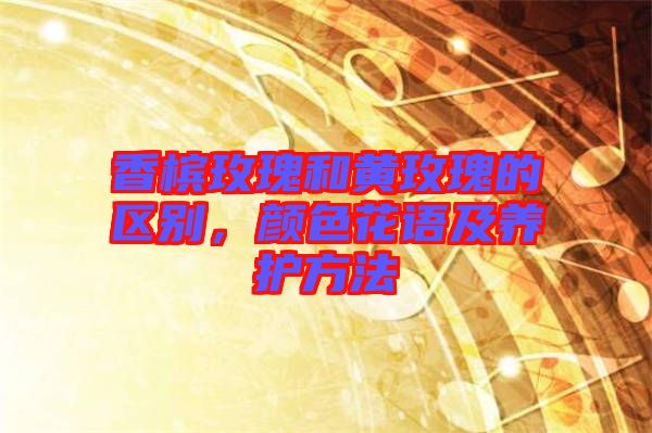香檳玫瑰和黃玫瑰的區(qū)別，顏色花語(yǔ)及養(yǎng)護(hù)方法