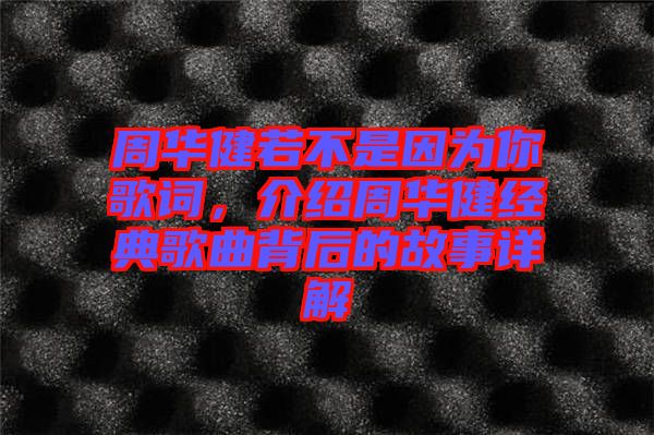 周華健若不是因為你歌詞，介紹周華健經(jīng)典歌曲背后的故事詳解