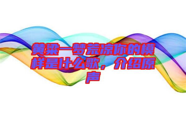 黃粱一夢荒涼你的模樣是什么歌，介紹原聲