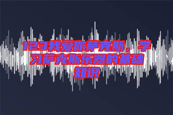123我愛你薩克斯，學(xué)習(xí)薩克斯樂器的基礎(chǔ)知識