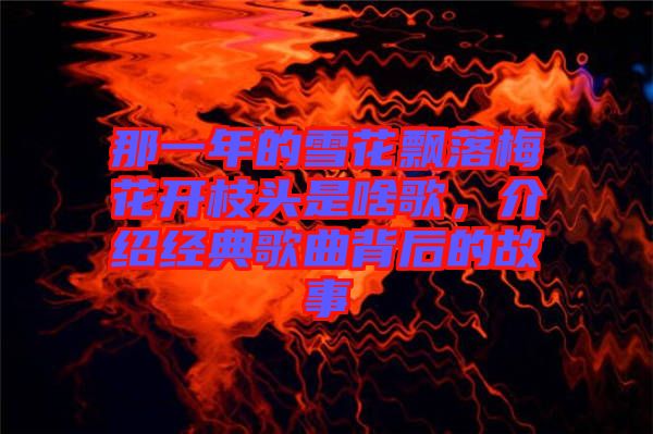 那一年的雪花飄落梅花開枝頭是啥歌，介紹經(jīng)典歌曲背后的故事