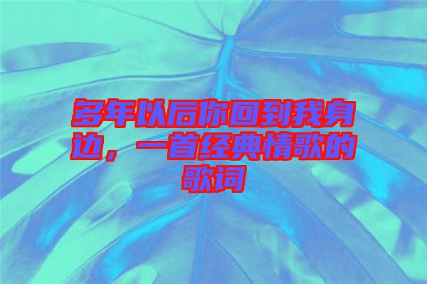 多年以后你回到我身邊，一首經(jīng)典情歌的歌詞