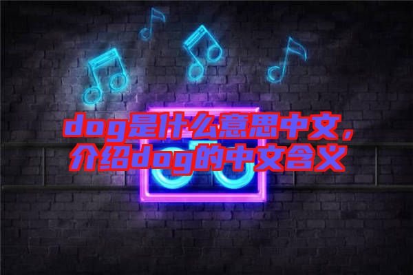 dog是什么意思中文，介紹dog的中文含義