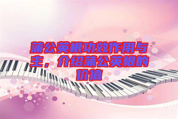 蒲公英根功效作用與主，介紹蒲公英根的價(jià)值