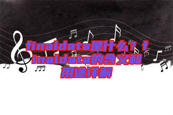 finaldata是什么？finaldata的含義和用途詳解