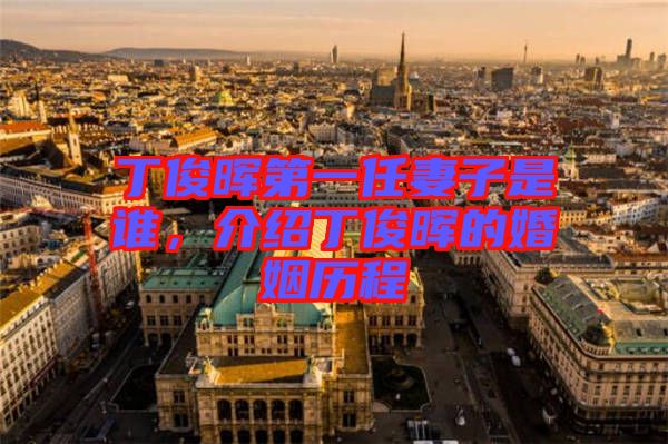丁俊暉第一任妻子是誰(shuí)，介紹丁俊暉的婚姻歷程