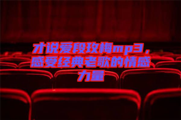 才說愛段玫梅mp3，感受經(jīng)典老歌的情感力量