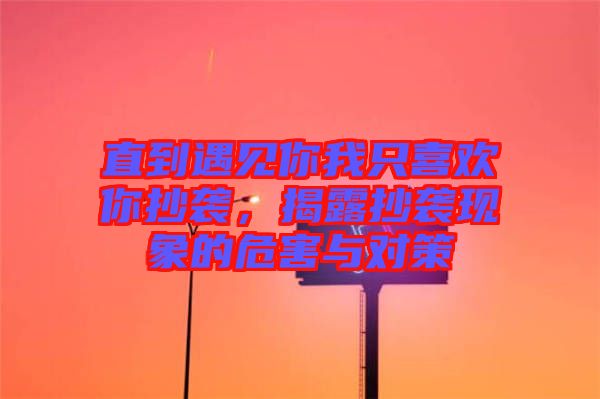 直到遇見(jiàn)你我只喜歡你抄襲，揭露抄襲現(xiàn)象的危害與對(duì)策