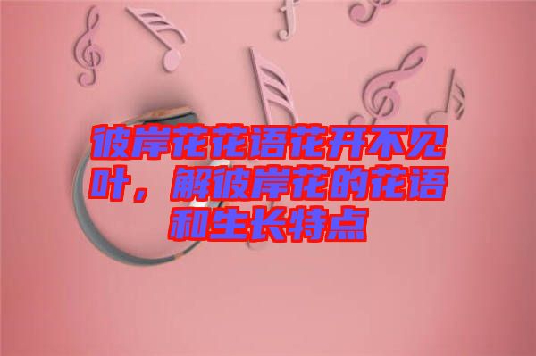 彼岸花花語花開不見葉，解彼岸花的花語和生長特點