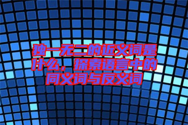 獨(dú)一無(wú)二的近義詞是什么，探索語(yǔ)言中的同義詞與反義詞