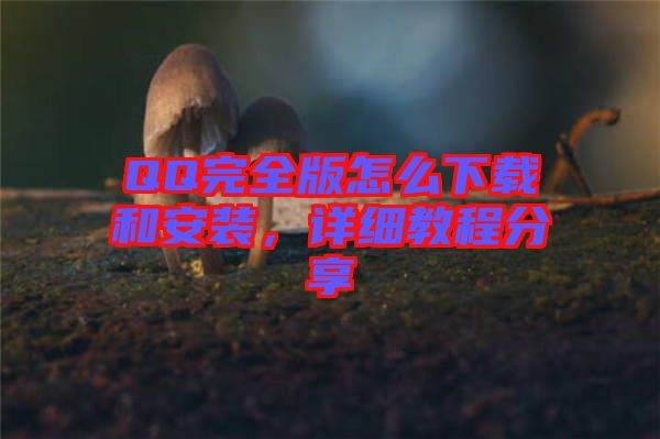 QQ完全版怎么下載和安裝，詳細教程分享