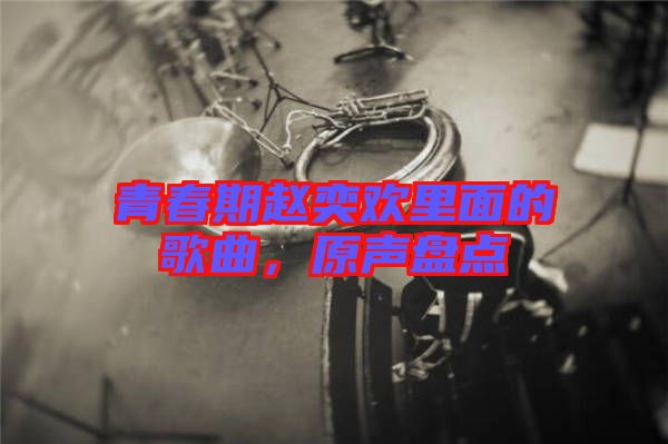 青春期趙奕歡里面的歌曲，原聲盤點(diǎn)