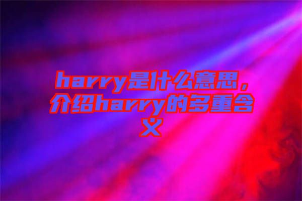 harry是什么意思，介紹harry的多重含義