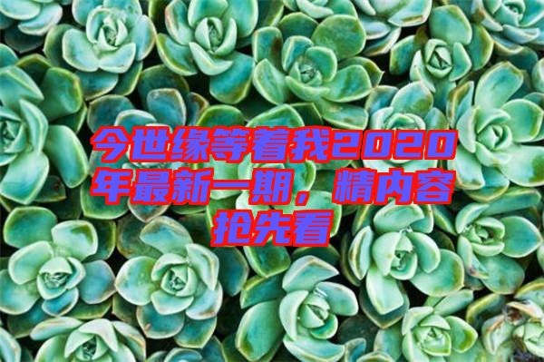 今世緣等著我2020年最新一期，精內(nèi)容搶先看