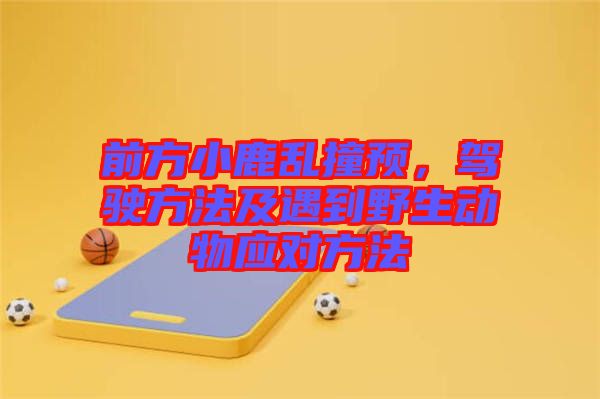 前方小鹿亂撞預(yù)，駕駛方法及遇到野生動(dòng)物應(yīng)對(duì)方法