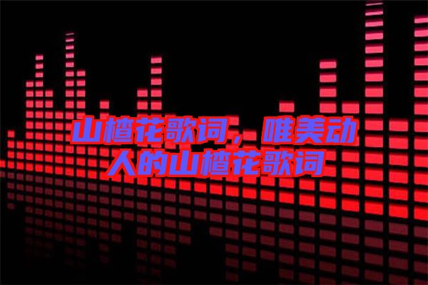 山楂花歌詞，唯美動(dòng)人的山楂花歌詞