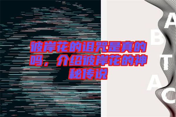 彼岸花的詛咒是真的嗎，介紹彼岸花的神秘傳說