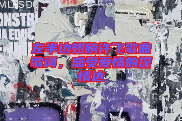 左半邊翅膀許飛歌曲歌詞，感受愛情的深情達(dá)