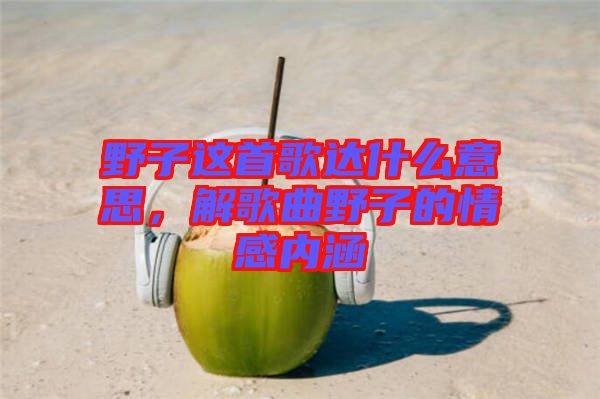 野子這首歌達(dá)什么意思，解歌曲野子的情感內(nèi)涵
