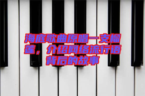海底歌曲原唱一支榴蓮，介紹網(wǎng)絡(luò)流行語(yǔ)背后的故事