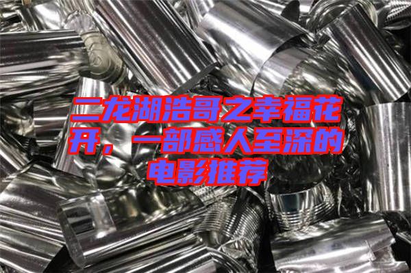 二龍湖浩哥之幸?；ㄩ_，一部感人至深的電影推薦