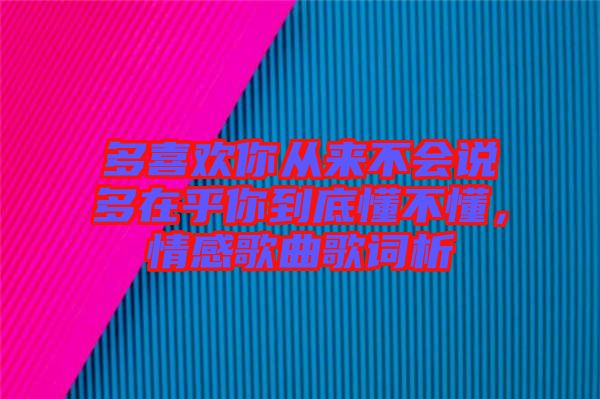 多喜歡你從來不會說多在乎你到底懂不懂，情感歌曲歌詞析