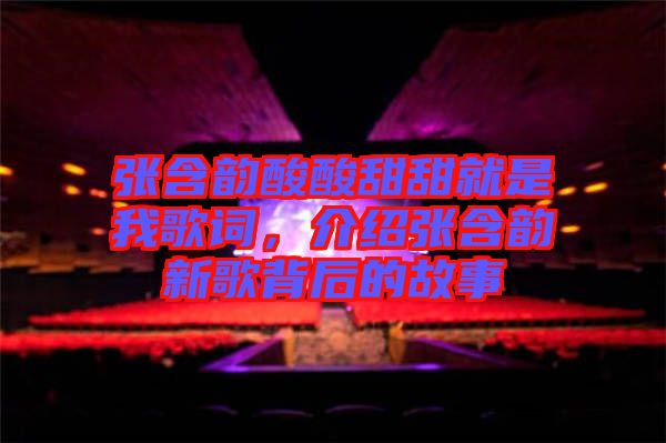 張含韻酸酸甜甜就是我歌詞，介紹張含韻新歌背后的故事