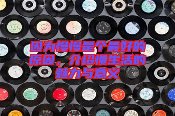 因?yàn)槁莻€最好的原因，介紹慢生活的魅力與意義