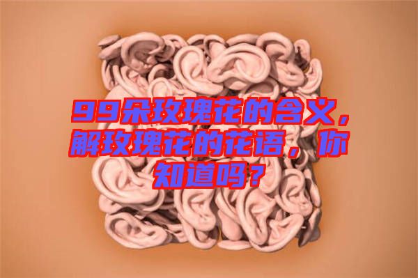 99朵玫瑰花的含義，解玫瑰花的花語(yǔ)，你知道嗎？
