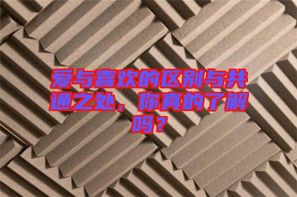 愛(ài)與喜歡的區(qū)別與共通之處，你真的了解嗎？