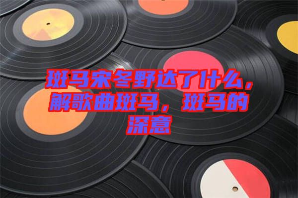 斑馬宋冬野達(dá)了什么，解歌曲斑馬，斑馬的深意