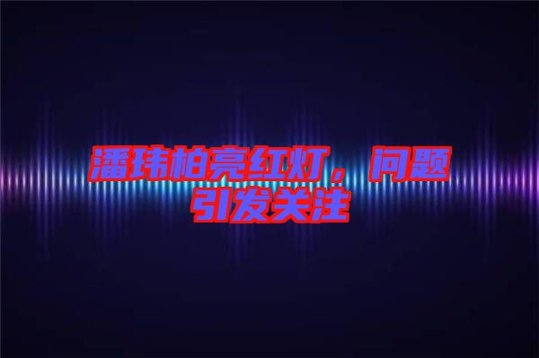 潘瑋柏亮紅燈，問題引發(fā)關注