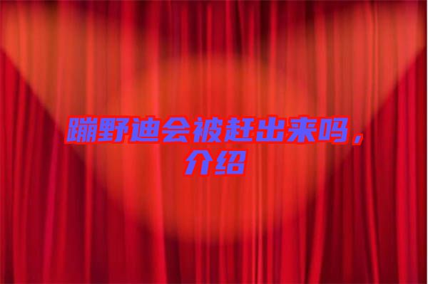 蹦野迪會(huì)被趕出來(lái)嗎，介紹