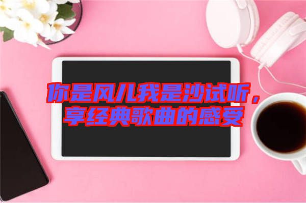 你是風兒我是沙試聽，享經(jīng)典歌曲的感受