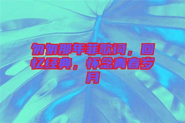 匆匆那年菲歌詞，回憶經(jīng)典，懷念青春歲月