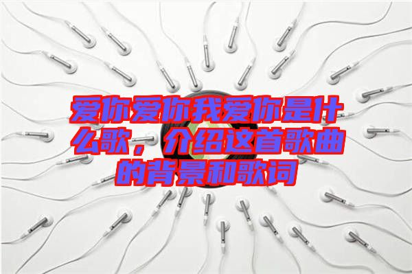 愛你愛你我愛你是什么歌，介紹這首歌曲的背景和歌詞
