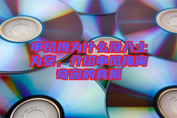 申鳳梅為什么沒入土為安，介紹申鳳梅離奇因的真相