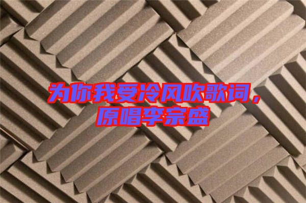 為你我受冷風吹歌詞，原唱李宗盛