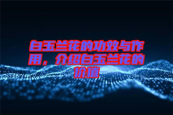 白玉蘭花的功效與作用，介紹白玉蘭花的價值