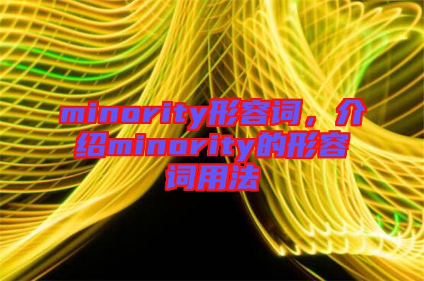 minority形容詞，介紹minority的形容詞用法