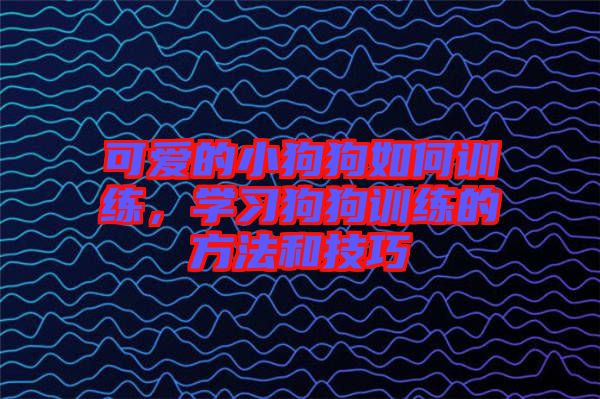 可愛的小狗狗如何訓(xùn)練，學(xué)習(xí)狗狗訓(xùn)練的方法和技巧