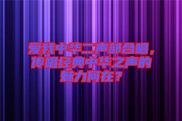 愛我中華二聲部合唱，傳唱經(jīng)典中華之聲的魅力何在？