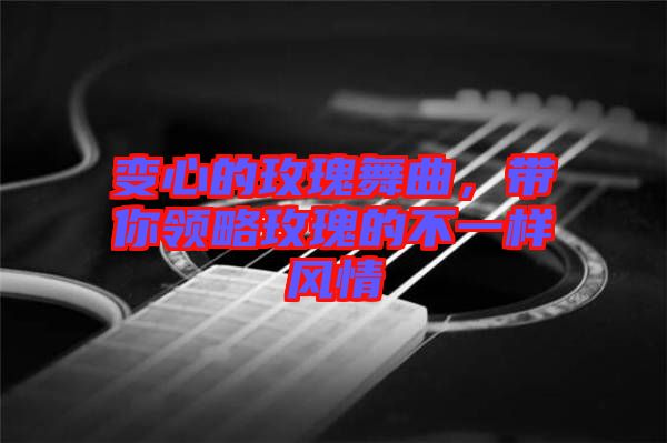變心的玫瑰舞曲，帶你領(lǐng)略玫瑰的不一樣風(fēng)情