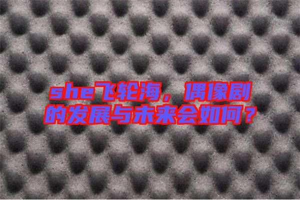 she飛輪海，偶像劇的發(fā)展與未來會如何？