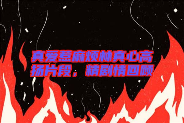 真愛惹麻煩林真心高揚(yáng)片段，精劇情回顧