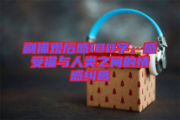 劇貓觀后感100字，感受貓與人類之間的情感糾葛