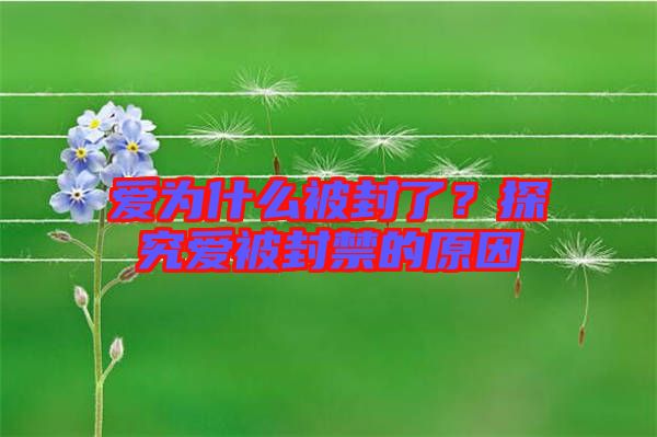 愛為什么被封了？探究愛被封禁的原因