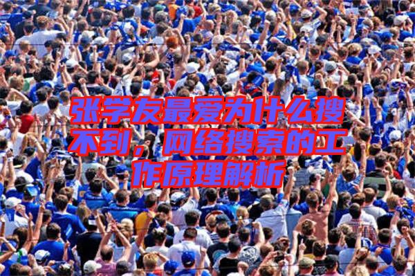張學(xué)友最?lèi)?ài)為什么搜不到，網(wǎng)絡(luò)搜索的工作原理解析