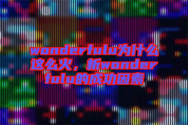 wonderfulu為什么這么火，析wonderfulu的成功因素